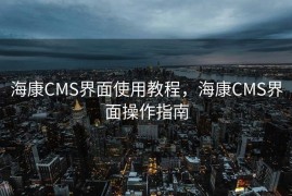 海康CMS界面使用教程，海康CMS界面操作指南