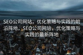 SEO公司网站，优化策略与实践的前沿阵地，SEO公司网站，优化策略与实践的最新阵地