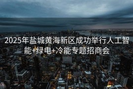 2025年盐城黄海新区成功举行人工智能+绿电+冷能专题招商会