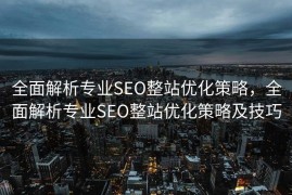 全面解析专业SEO整站优化策略，全面解析专业SEO整站优化策略及技巧