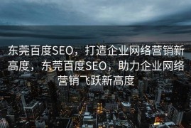东莞百度SEO，打造企业网络营销新高度，东莞百度SEO，助力企业网络营销飞跃新高度