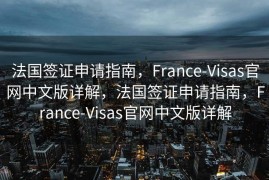 法国签证申请指南，France-Visas官网中文版详解，法国签证申请指南，France-Visas官网中文版详解