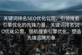 关键词排名SEO优化公司，引领搜索引擎优化的先锋力量，关键词排名SEO优化公司，领航搜索引擎优化，塑造先锋品牌形象