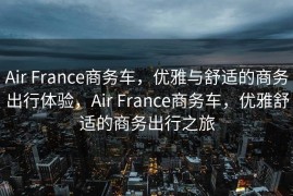 Air France商务车，优雅与舒适的商务出行体验，Air France商务车，优雅舒适的商务出行之旅