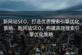 新网站SEO，打造优质搜索引擎优化策略，新网站SEO，构建高效搜索引擎优化策略