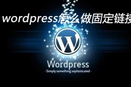 wordpress怎么做固定链接