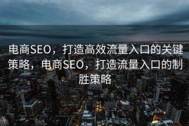 电商SEO，打造高效流量入口的关键策略，电商SEO，打造流量入口的制胜策略