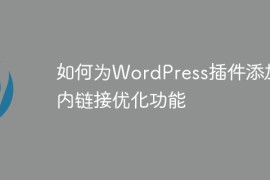 如何为WordPress插件添加站内链接优化功能