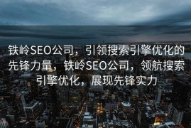铁岭SEO公司，引领搜索引擎优化的先锋力量，铁岭SEO公司，领航搜索引擎优化，展现先锋实力