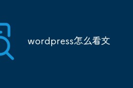 wordpress怎么看文