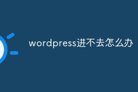 wordpress进不去怎么办