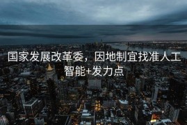 国家发展改革委，因地制宜找准人工智能+发力点