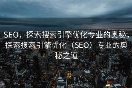 SEO，探索搜索引擎优化专业的奥秘，探索搜索引擎优化（SEO）专业的奥秘之道