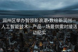 润州区举办智领新浪潮•数绘新润州—人工智能技术—产品—场景供需对接活动纪实