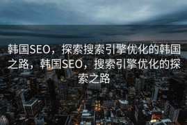 韩国SEO，探索搜索引擎优化的韩国之路，韩国SEO，搜索引擎优化的探索之路