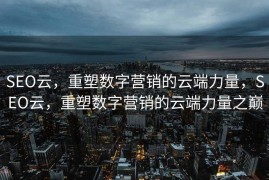 SEO云，重塑数字营销的云端力量，SEO云，重塑数字营销的云端力量之巅
