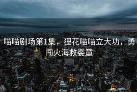 喵喵剧场第1集，狸花喵喵立大功，勇闯火海救婴童