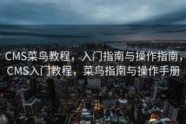 CMS菜鸟教程，入门指南与操作指南，CMS入门教程，菜鸟指南与操作手册