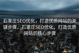 石家庄SEO优化，打造优质网站的关键步骤，石家庄SEO优化，打造优质网站的核心步骤