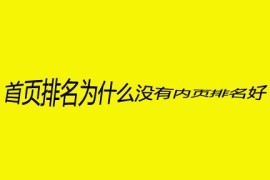 SEO问题分析：首页排名不如内页，为什么？-2025最新seo资料