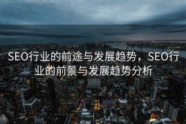 SEO行业的前途与发展趋势，SEO行业的前景与发展趋势分析