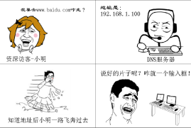 网站收录怪象： 那些关于收录的秘密-2025最新seo资料