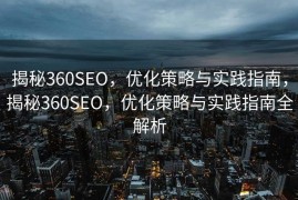 揭秘360SEO，优化策略与实践指南，揭秘360SEO，优化策略与实践指南全解析