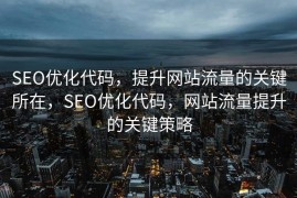 SEO优化代码，提升网站流量的关键所在，SEO优化代码，网站流量提升的关键策略