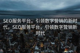 SEO服务平台，引领数字营销的新时代，SEO服务平台，引领数字营销新时代
