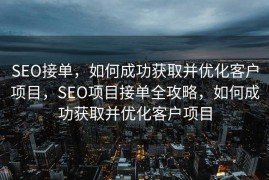 SEO接单，如何成功获取并优化客户项目，SEO项目接单全攻略，如何成功获取并优化客户项目