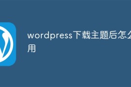 wordpress下载主题后怎么启用