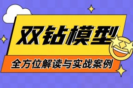 8600字深度干货！「双钻模型」全方位解读与实战案例-2025最新seo资料