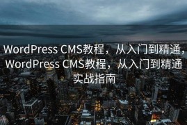 WordPress CMS教程，从入门到精通，WordPress CMS教程，从入门到精通实战指南