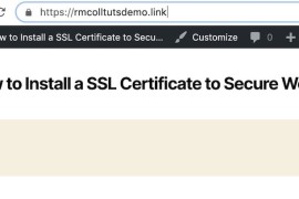保护 WordPress 安全：安装 SSL 证书的分步指南