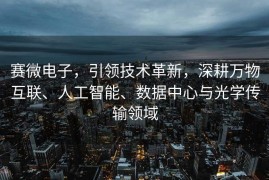 赛微电子，引领技术革新，深耕万物互联、人工智能、数据中心与光学传输领域