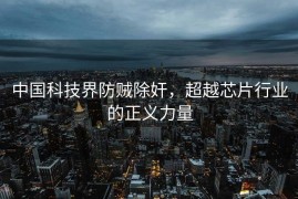 中国科技界防贼除奸，超越芯片行业的正义力量