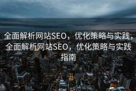 全面解析网站SEO，优化策略与实践，全面解析网站SEO，优化策略与实践指南
