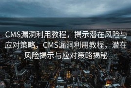 CMS漏洞利用教程，揭示潜在风险与应对策略，CMS漏洞利用教程，潜在风险揭示与应对策略揭秘