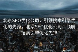 北京SEO优化公司，引领搜索引擎优化的先锋，北京SEO优化公司，领航搜索引擎优化先锋