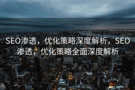 SEO渗透，优化策略深度解析，SEO渗透，优化策略全面深度解析