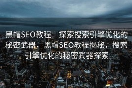 黑帽SEO教程，探索搜索引擎优化的秘密武器，黑帽SEO教程揭秘，搜索引擎优化的秘密武器探索