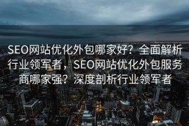 SEO网站优化外包哪家好？全面解析行业领军者，SEO网站优化外包服务商哪家强？深度剖析行业领军者
