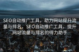 SEO自动推广工具，助力网站提升流量与排名，SEO自动推广工具，提升网站流量与排名的得力助手