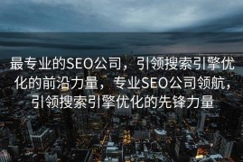 最专业的SEO公司，引领搜索引擎优化的前沿力量，专业SEO公司领航，引领搜索引擎优化的先锋力量