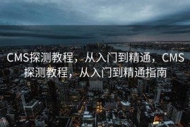 CMS探测教程，从入门到精通，CMS探测教程，从入门到精通指南