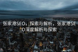 张家港SEO，探索与解析，张家港SEO深度解析与探索