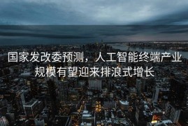 国家发改委预测，人工智能终端产业规模有望迎来排浪式增长