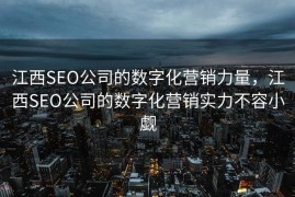 江西SEO公司的数字化营销力量，江西SEO公司的数字化营销实力不容小觑