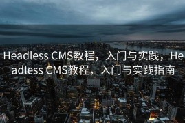 Headless CMS教程，入门与实践，Headless CMS教程，入门与实践指南