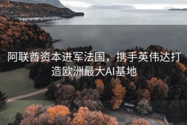 阿联酋资本进军法国，携手英伟达打造欧洲最大AI基地